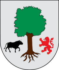 Ayuntamiento de Aia