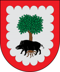 Ayuntamiento de Aria