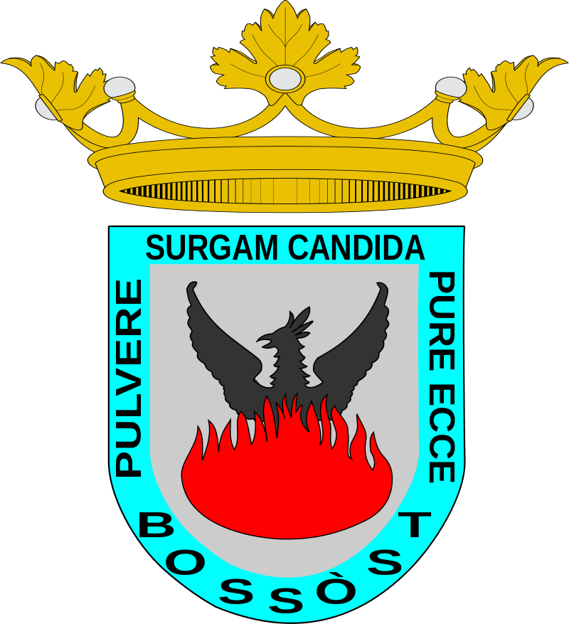 Ayuntamiento de Bossòst