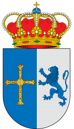 Ayuntamiento de Cangas del Narcea
