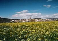 Ayuntamiento de Malpartida de Corneja