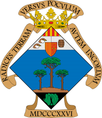 Ayuntamiento de Pinoso